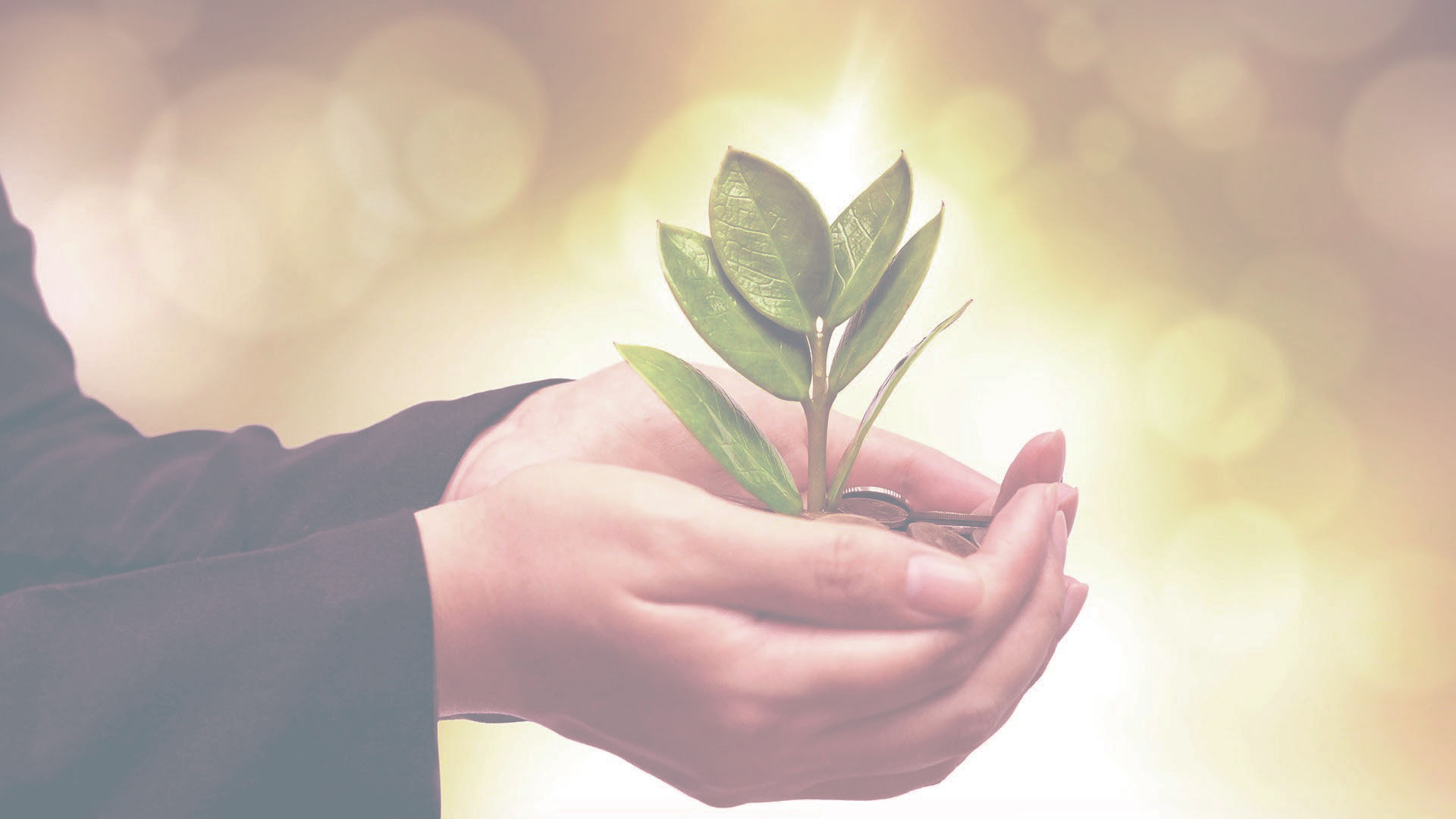 توسعه پایدار، سرمایه‌گذاری مطمئن